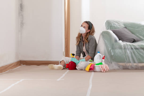 Reliable Basement Mold Removal contractor in Huntington, NY by WQB Mold Removal